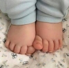 bebek ayağı