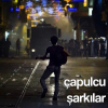 çapulcular