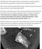 mars ta sıradışı parlak bir nesne bulundu / #1771777