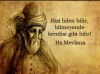 mevlana nın şarap düşkünü olması / #1337406