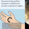 recep tayyip erdoğan / #1210332