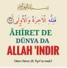 ahiret de dünya da allah ındır / #2321215