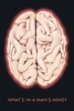 erkek beyni