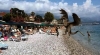 kemer plajlarında görülen vahşi yaratık / #1420358