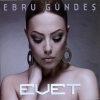 ebru gündeş evet