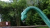 nessie / #1114345