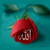 allah / #2425540