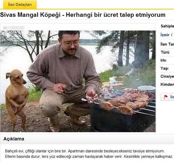 sahibinden com ilanları