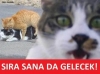 türk kadınının beni sikecekler korkusu / #1695213