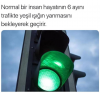 yeşil ışıkta durmak / #1754330