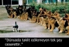 gece köpek çetesinin içinden korkmadan geçebilmek / #1545137