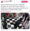 türkiye de adalet / #1766120