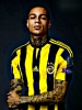 gregory van der wiel