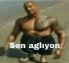 sözlük erkeklerinin kadın hırçınlığı / #2179032