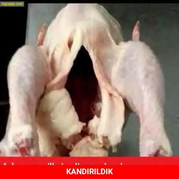 türk kızları