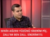 zall ı silkerek yok etmem / #1562748