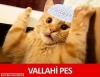 altıncı postadan sonra beyaz külot sallayan kız / #1433541
