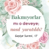 gaşiye suresi / #2247987