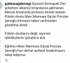 israile askeri malzeme götüren gemi mersine geldi