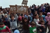 no turkey / #1021138