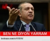 bir türkçü fethi sekin i sevemez / #2114284