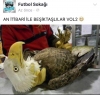 an itibariyle beşiktaş taraftarı / #1190236