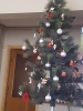 sözlük yazarların evlerindeki yılbaşı ağaçları / #1786130