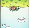 bir kaplumbağayı ters çevirip kaçmak