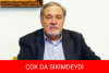 limon kabugu nun silinen yazar olması / #1504626