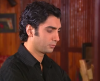 polat alemdar ın tipi / #2363888