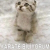sözlük kızlarına laf atan karşısında beni bulur / #1039314