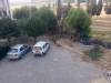 ankarada köpeğin adamı tecavüz etmesi / #1159963