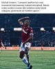 michail antonio / #1804177