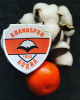 adanaspor