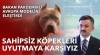 sokak köpeği yüzünden 2 saniye içinde ölmek