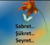 günün sözü / #1614711