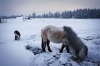 oymyakon