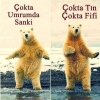 savaş çıkmasının dahi umurda olmaması / #1278122