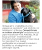 bir erkeği köpek etmenin yolları resim 2