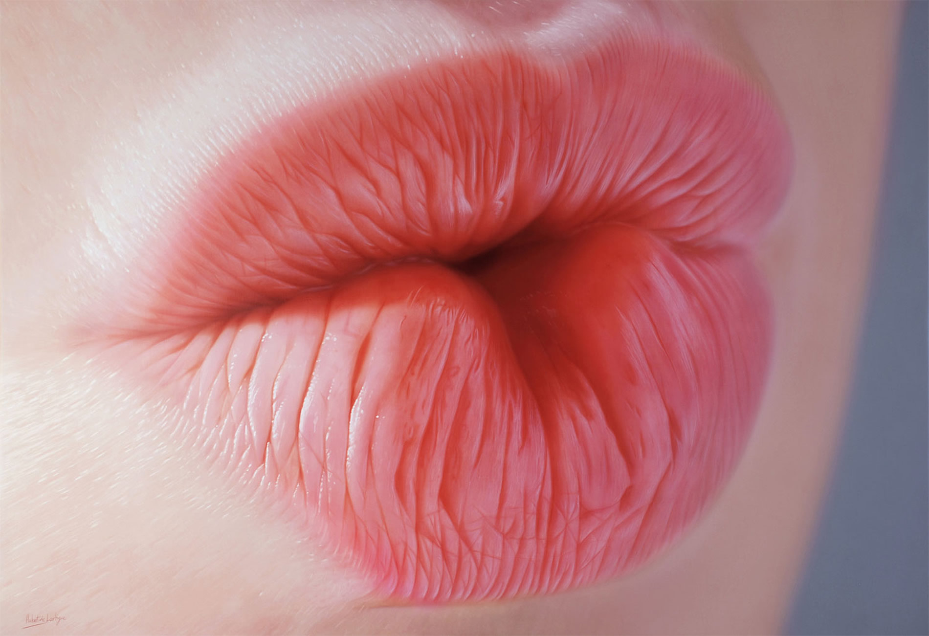 Pussy Lips Close Up