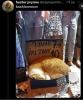 kedi piyasası
