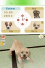 nintendogs resim 5