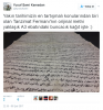 tanzimat fermanı / #1330413