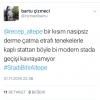 twitter daki bartu çizmeci adlı hesap / #1254757