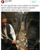 eğitimin içler acısı hali / #1725245