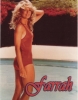 farrah fawcett / #1004203