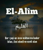 allah / #2427116