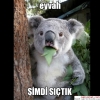 bir anda büyük resmi görmek / #1438820
