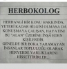 her ortamda şey gibi öne atılan tip / #1072324