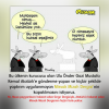 misvak dergisinden atatürk e eşek benzetmesi / #1339583